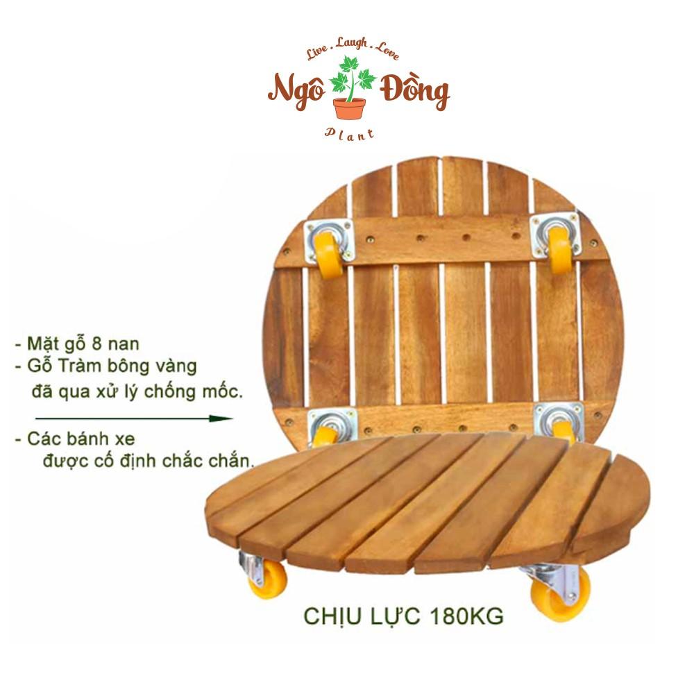 Bộ 2 Đế Lót Để Chậu Cây Cảnh Gỗ Tràm R40cm Có Bánh Xe Tròn Chịu Lực Lên Đến 180kg