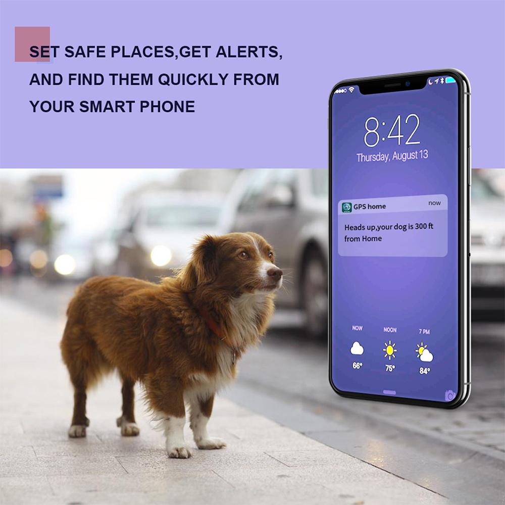 Pet Gps Tracker Smart Gps Tracker For Dog 2G App Control Ip67 Waterproof