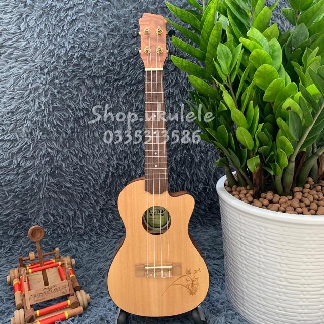 ĐÀN UKULELE CONCERT HOA 23INCH