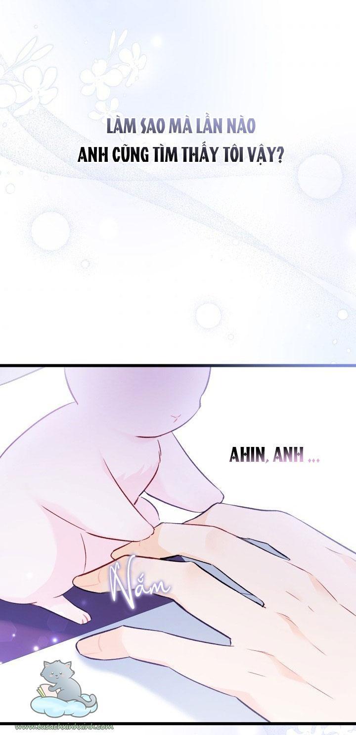 quan hệ cộng sinh giữa báo đen và thỏ trắng chapter 58 59