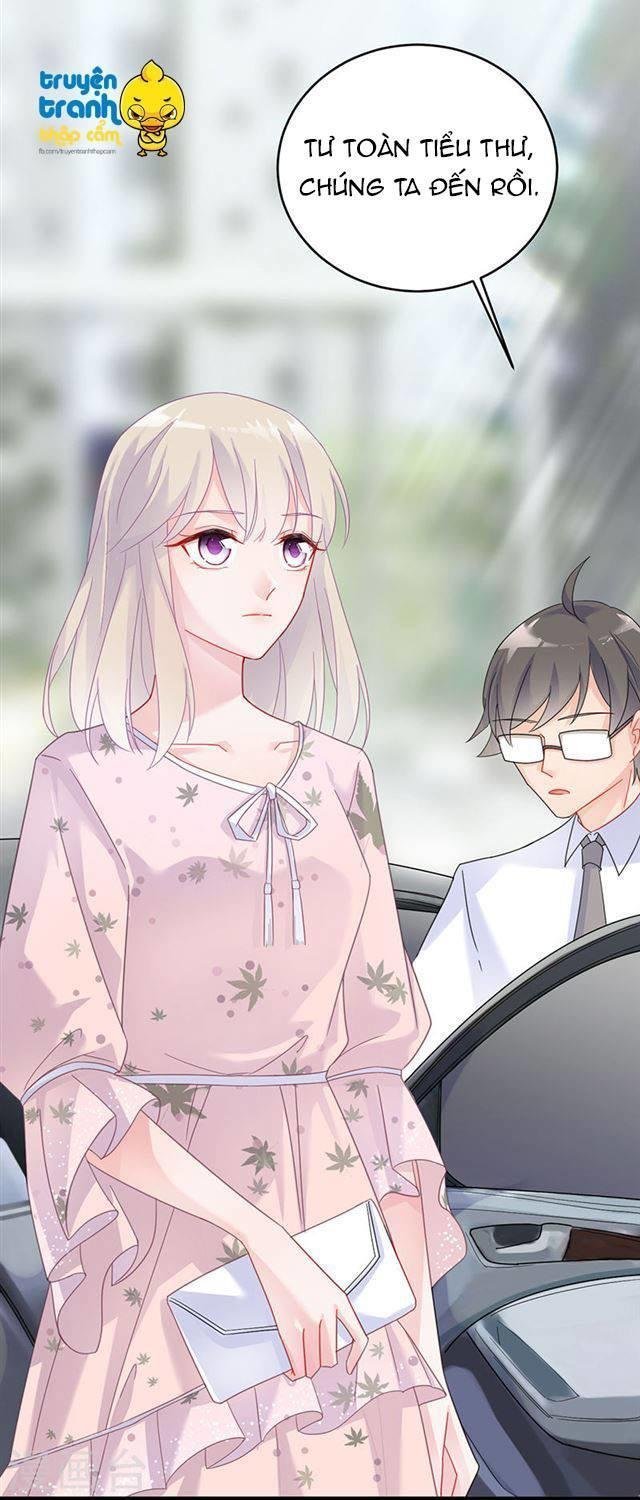 nhạ thượng thủ tịch tổng tài chapter 199 18