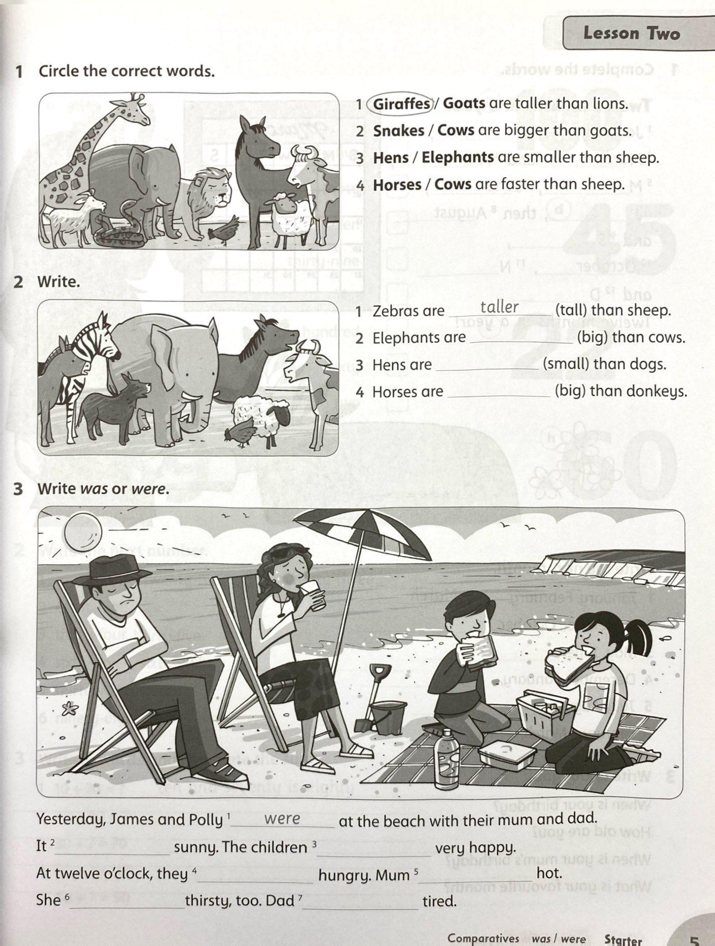 Sách ngoại văn: Family and Friends: Level 3: Workbook &amp; Online Skills Practice Pack