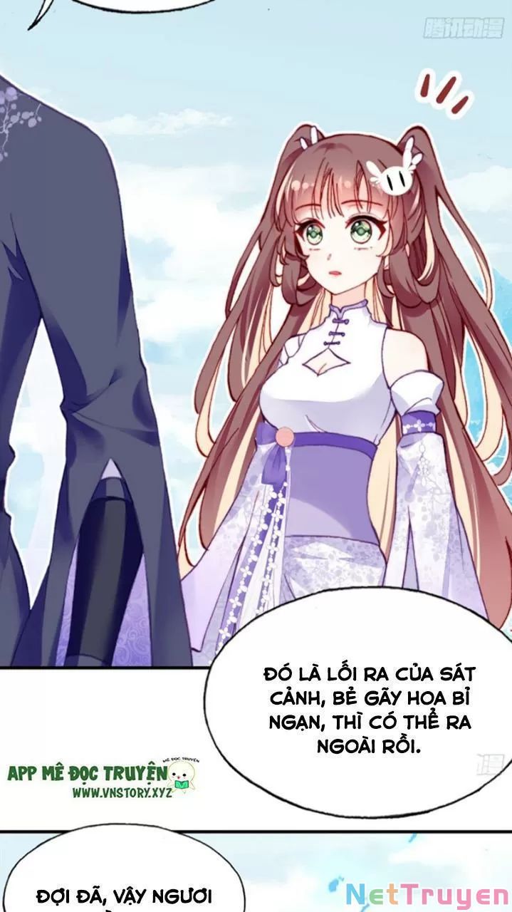 lại bị bệnh chiều chuộng quấn lấy chapter 22 41