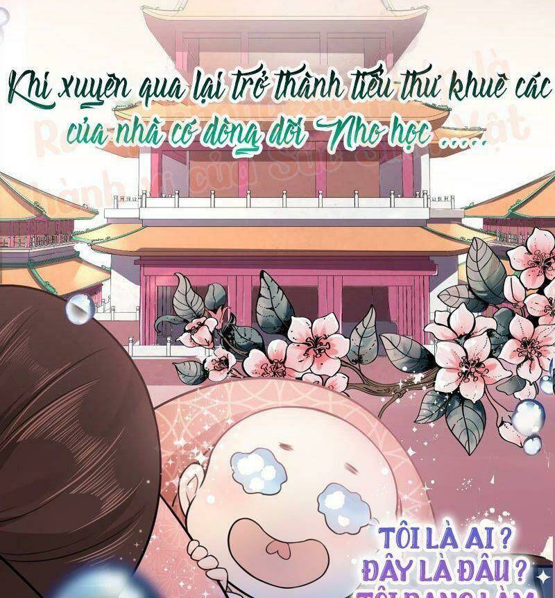 quận chúa vững vàng, thiết lập nhân vật không thể vỡ chapter 0 13