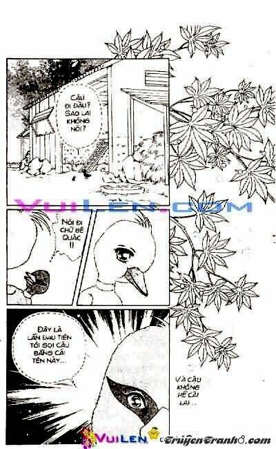 đóa hoa yêu kiều chapter 3 150