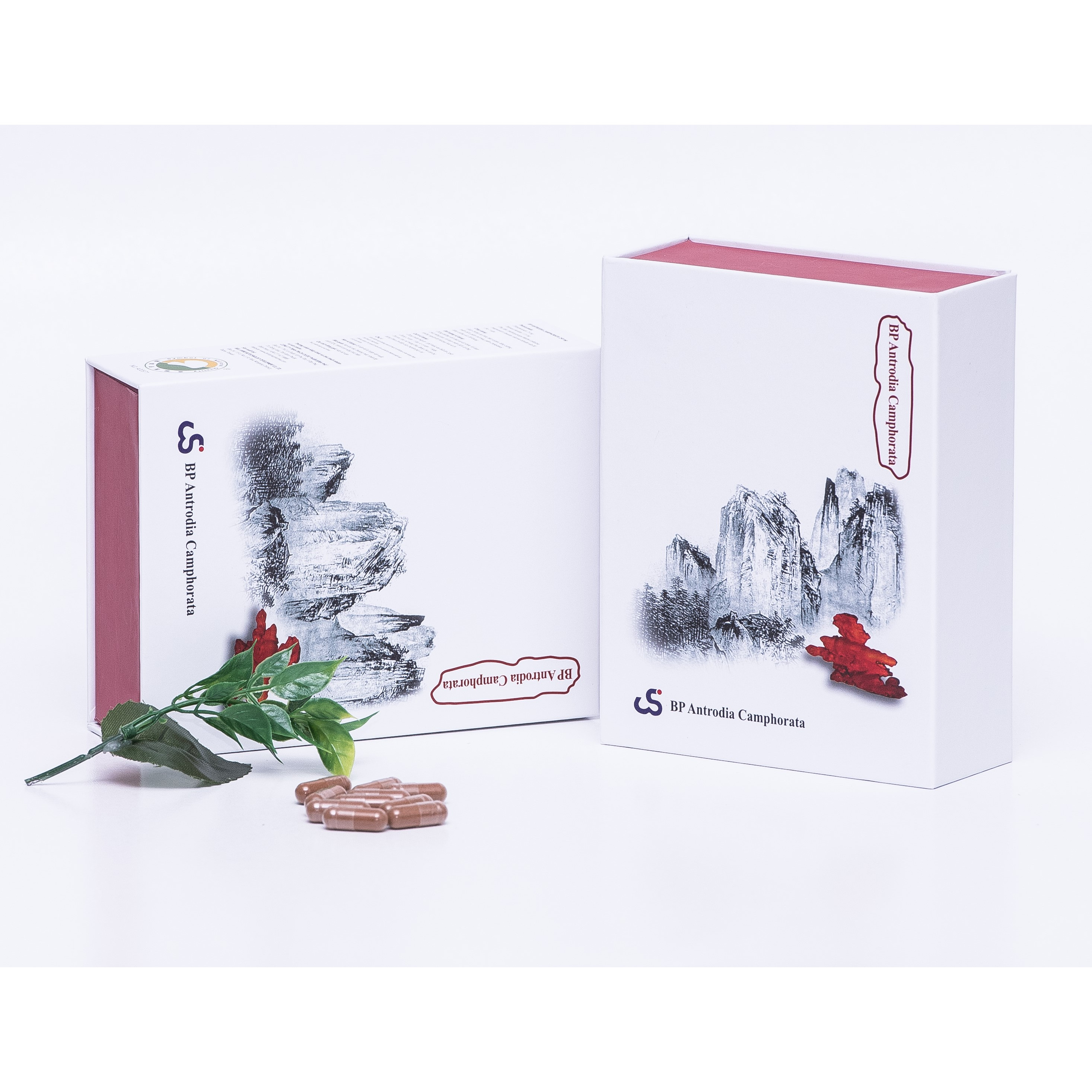 Viên Uống Nấm Chương Chi Đỏ BP ANTRODIA CAMPHORATA , Hỗ Trợ Bệnh Nhân Ung Thư, Rối Loạn Chức Năng Gan, Tăng Cường Miễn Dịch, Tăng Sức Đề Kháng
