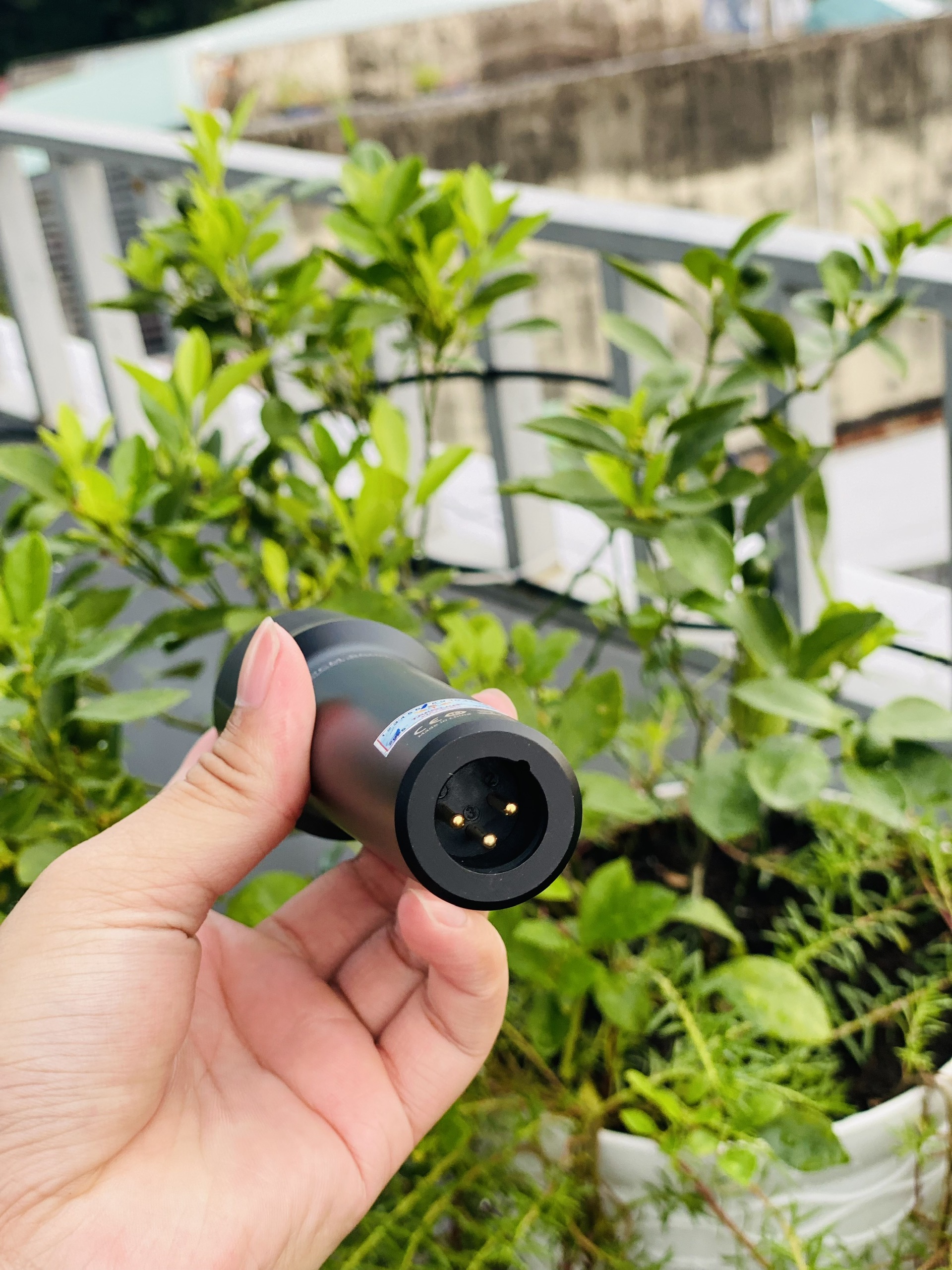 Micro Thu Âm Chuyên Nghiệp Takstar PCM 5600 48V  Condenser Cardioid, Dải Tần Rộng, Dành Cho Studio Chuẩn Phòng Thu Tặng Kèm Dây Micro Full Box Hàng Nhập Khẩu
