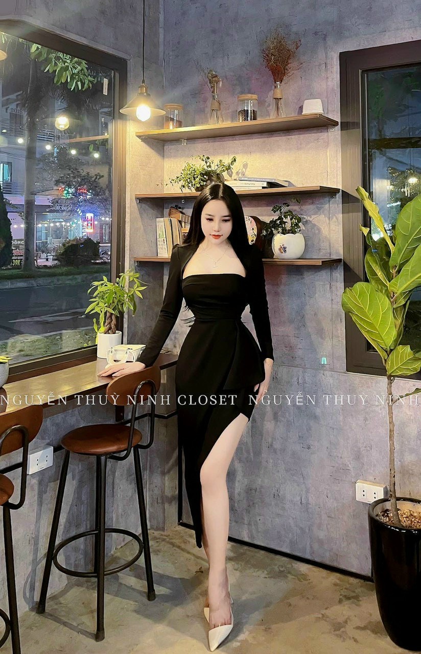 ĐẦM CỔ TÂY TAY DÀI BÈO LAI 2 MÀU Y HÌNH