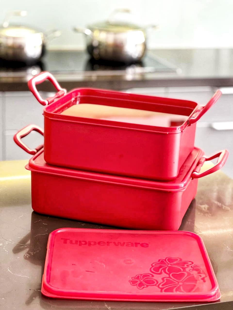 Hộp bảo quản thực phẩm ngâm Tupperware - Hàng chính hãng