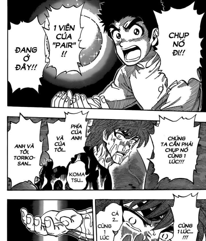 thánh tỏi sành ăn chapter 316 10