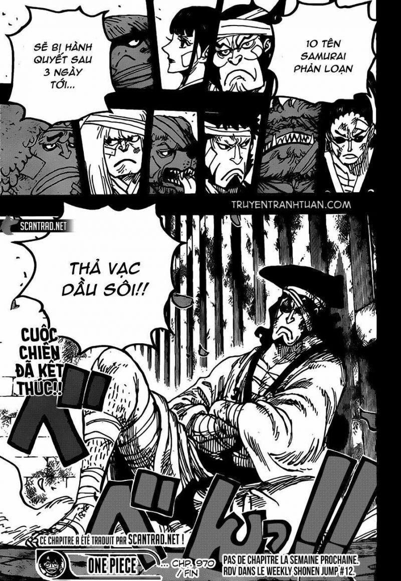đảo hải tặc - one piece chapter 970 14
