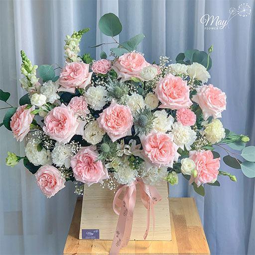 Hoa hồng ngoại Pink Ohara bông to siêu thơm