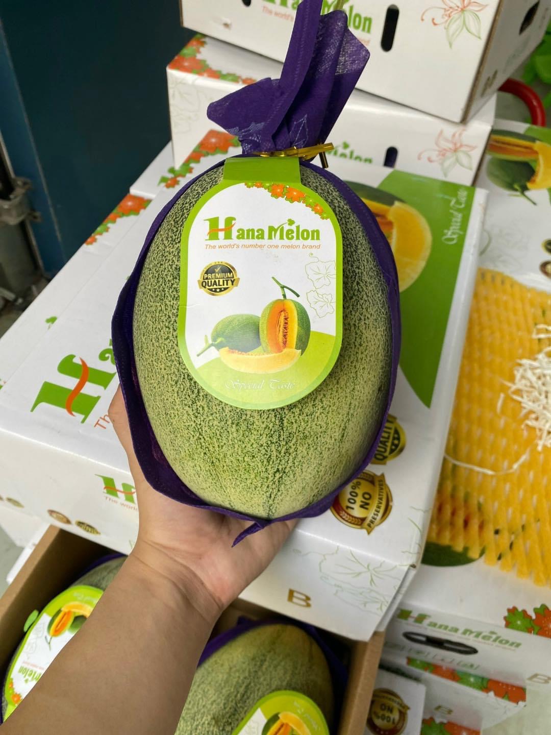 Dưa lưới Đài Loan quả tầm~ 1.65kg