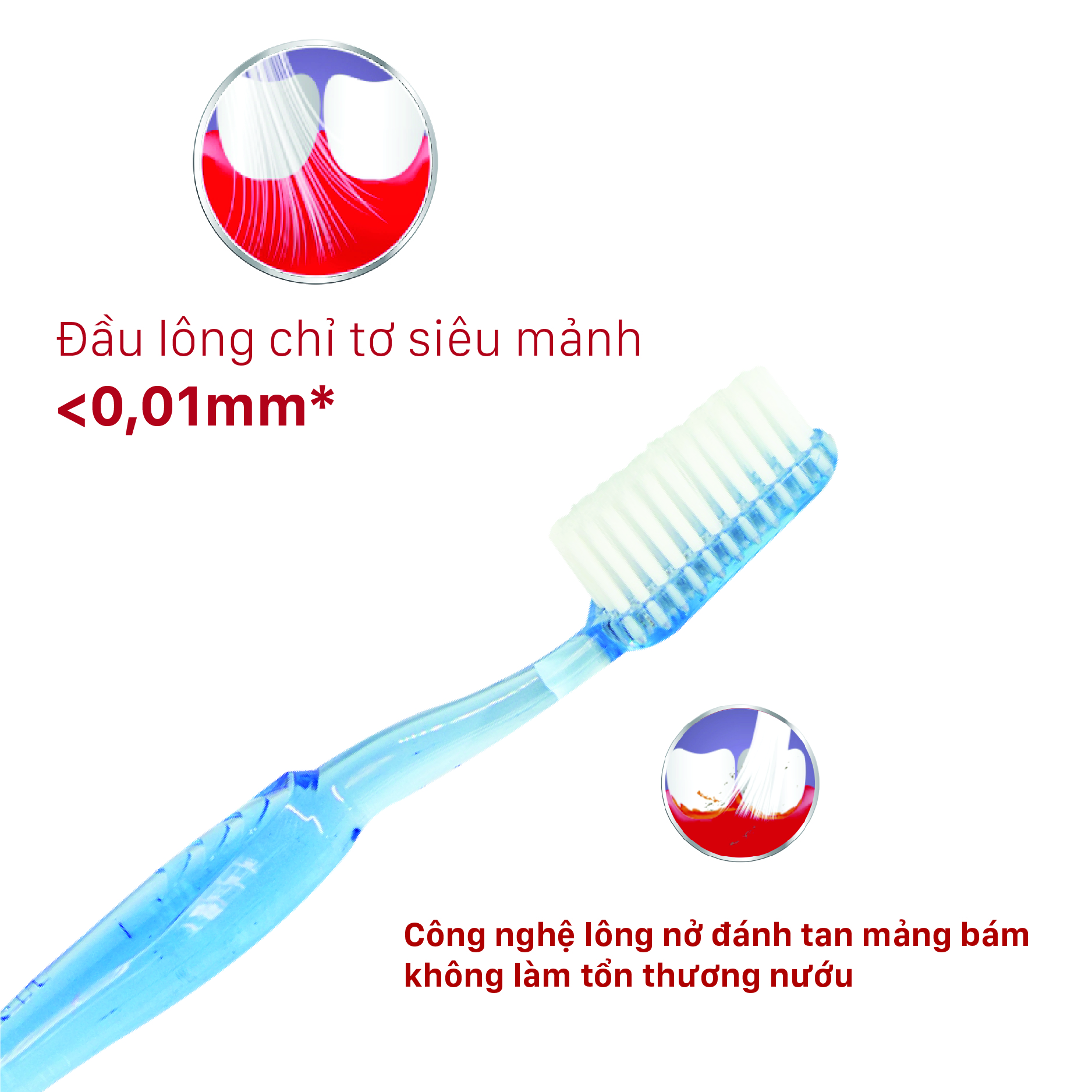 Bàn Chải Đánh Răng LIPZO Crystal Love For Man Công Nghệ Lông Nở Kết Hợp Chỉ Tơ Nha Khoa Dành Cho Nam Giới