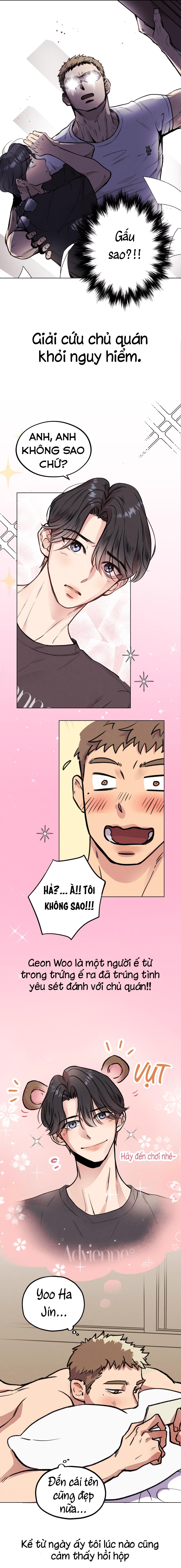 mật gấu chapter 0 1