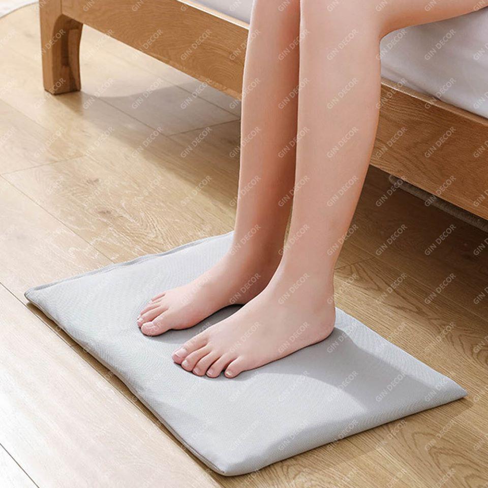 Thảm Đất Hút Nhanh Nhật Bản 60x39cm - Home and Garden