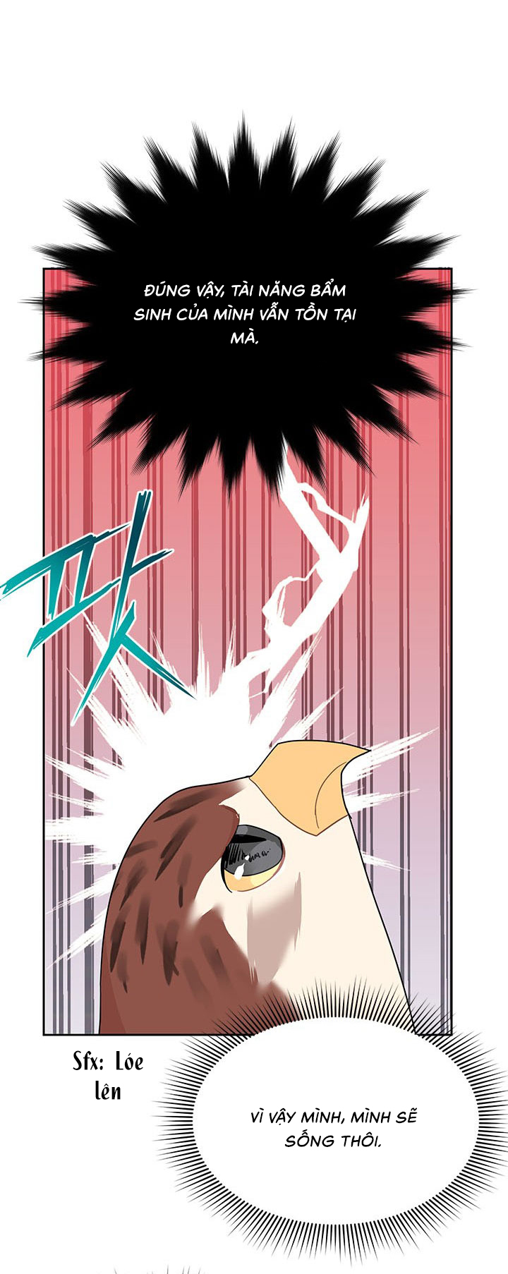 công chúa của loài chim chapter 16 16