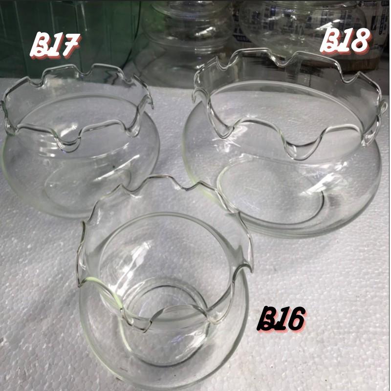 Bể cá mini, chậu cá để bàn TAI BÈO
