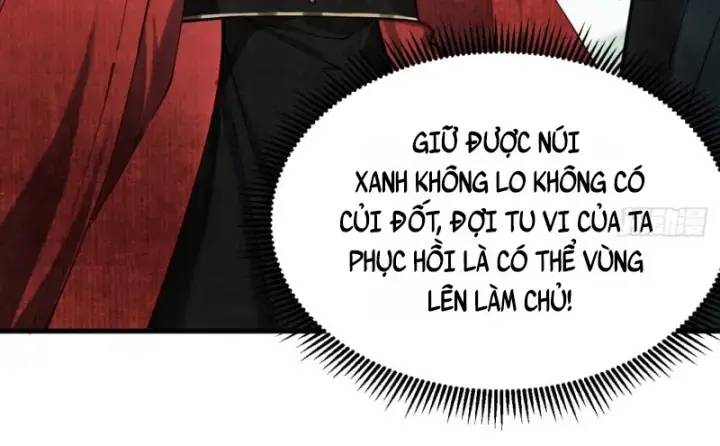 gặp mạnh thì càng mạnh, tu vi của ta không giới hạn chapter 5 5