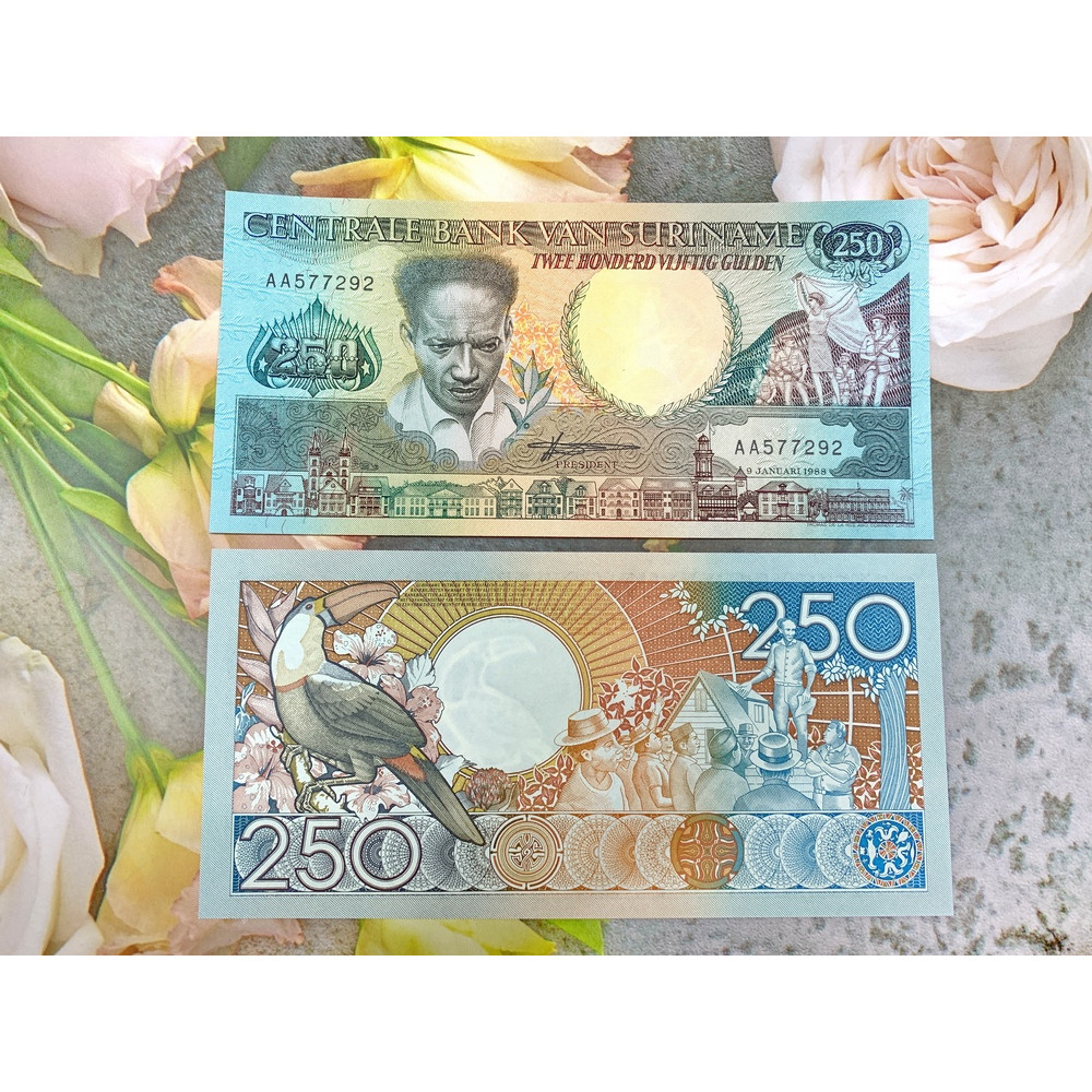 Tiền cổ Suriname mệnh giá lạ 250 Gulden người đàn ông , mới 100% UNC, tặng túi nilon bảo quản