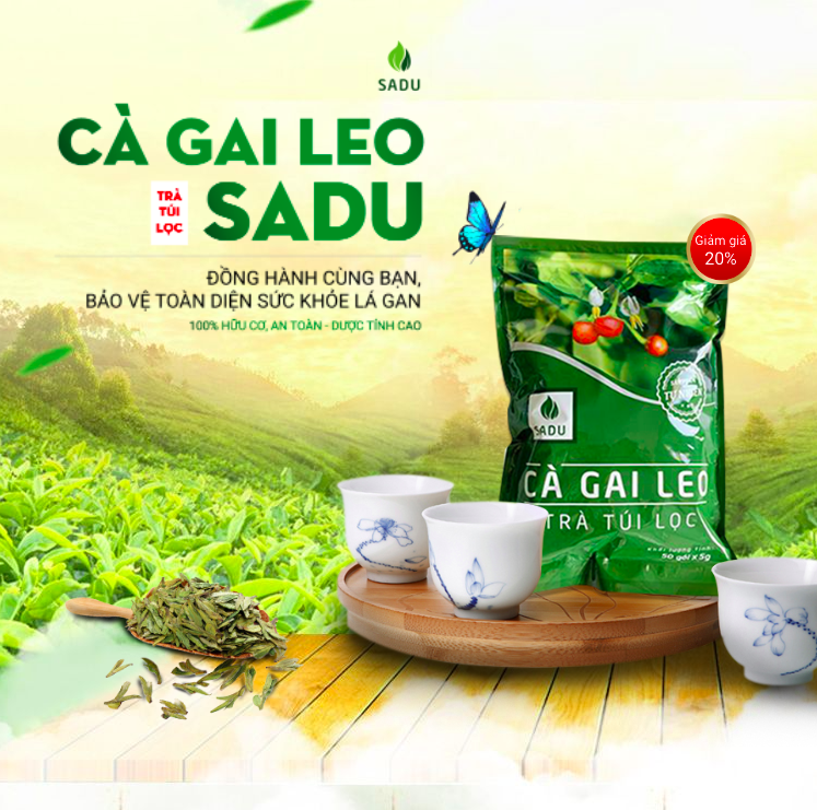 Trà cà gai leo Sadu bịch 1kg - Hỗ trợ bảo vệ lá Gan cho cả Gia đình bạn