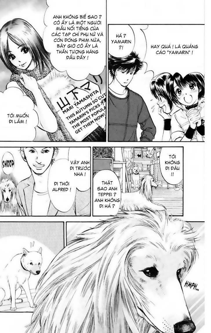 cô nàng yêu chó chapter 12 8