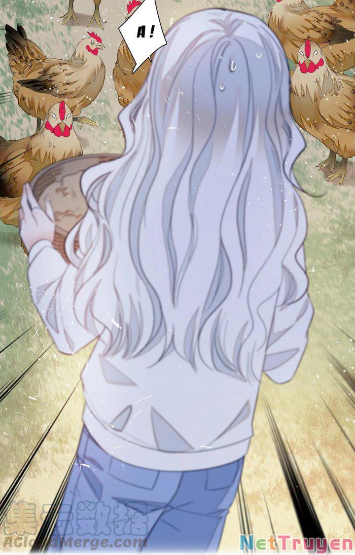 long phượng phiên chuyển chapter 58 41