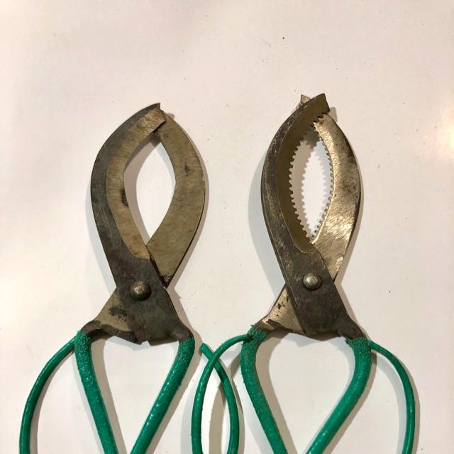 BỘ 2 KÉO KHOANH VỎ CÂY ĂN QUẢ