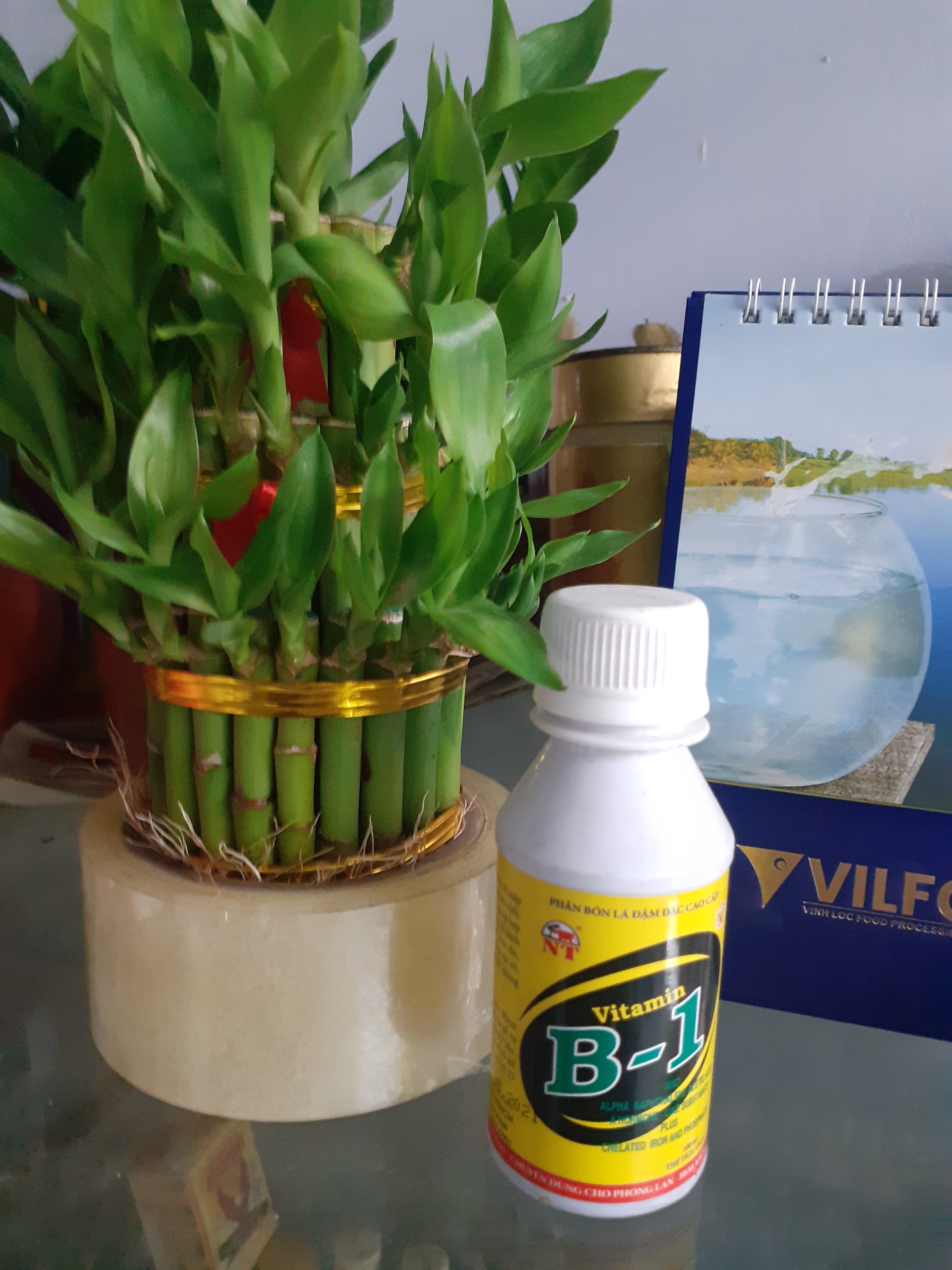 Chai 100ml ra rễ cực mạnh vitamin B1.