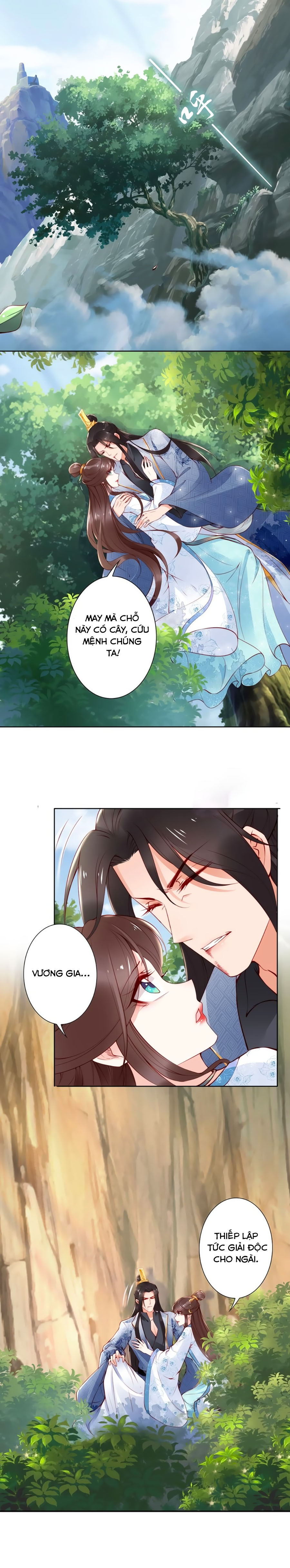 đế cung đông hoàng phi chapter 65 13