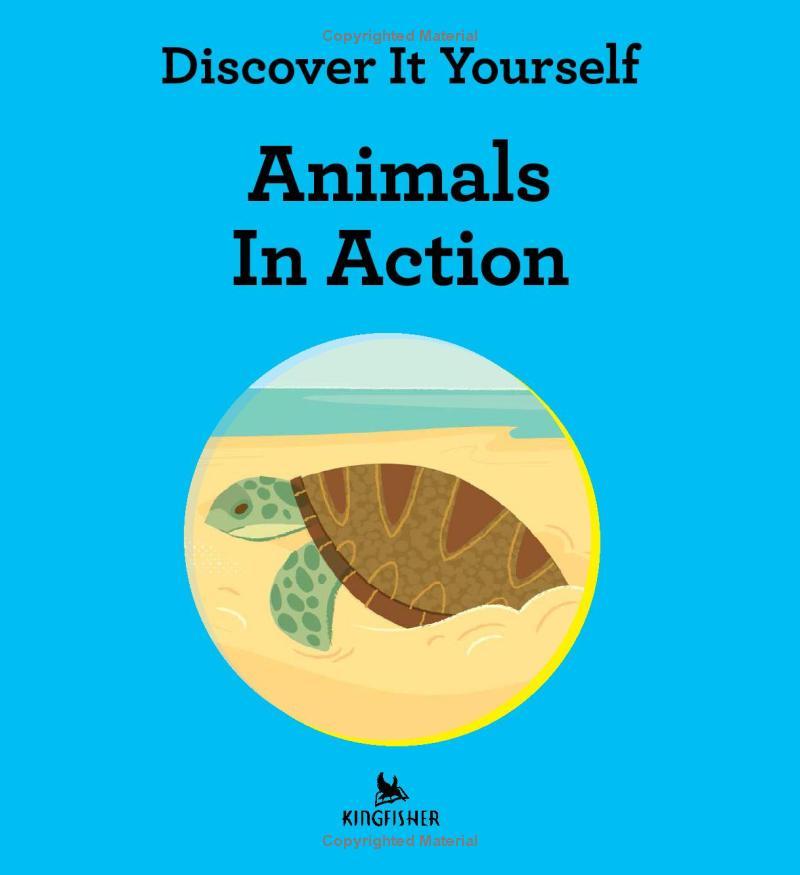Sách ngoại văn: Discover It Yourself - Animals In Action