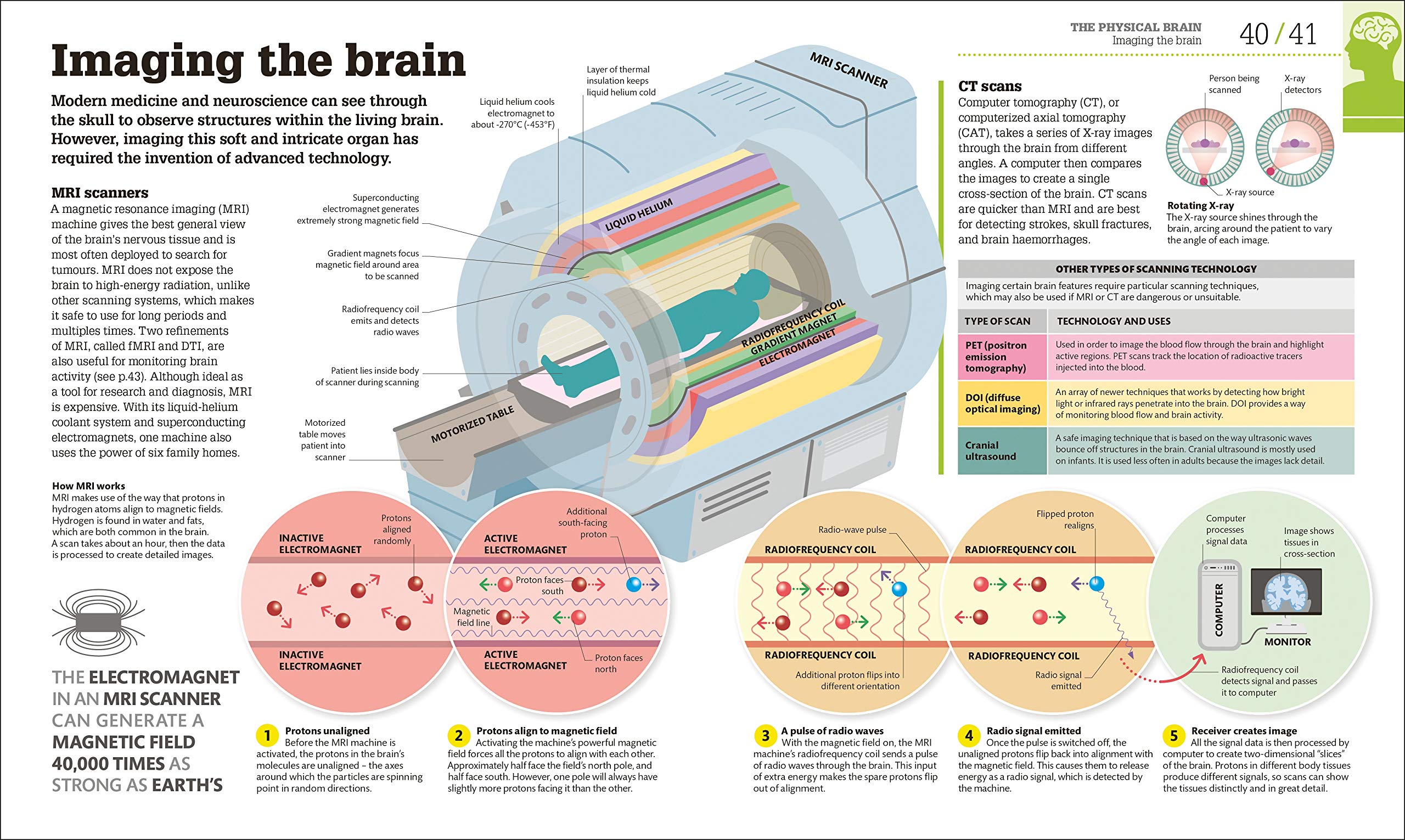 How The Brain Works: The Facts Visually Explained (How It Works)