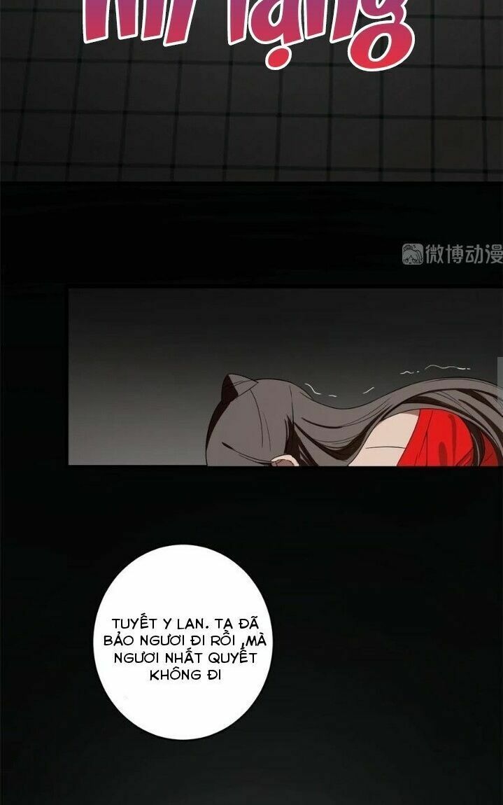 độc bộ thiên hạ: đặc công thần y chapter 219 16