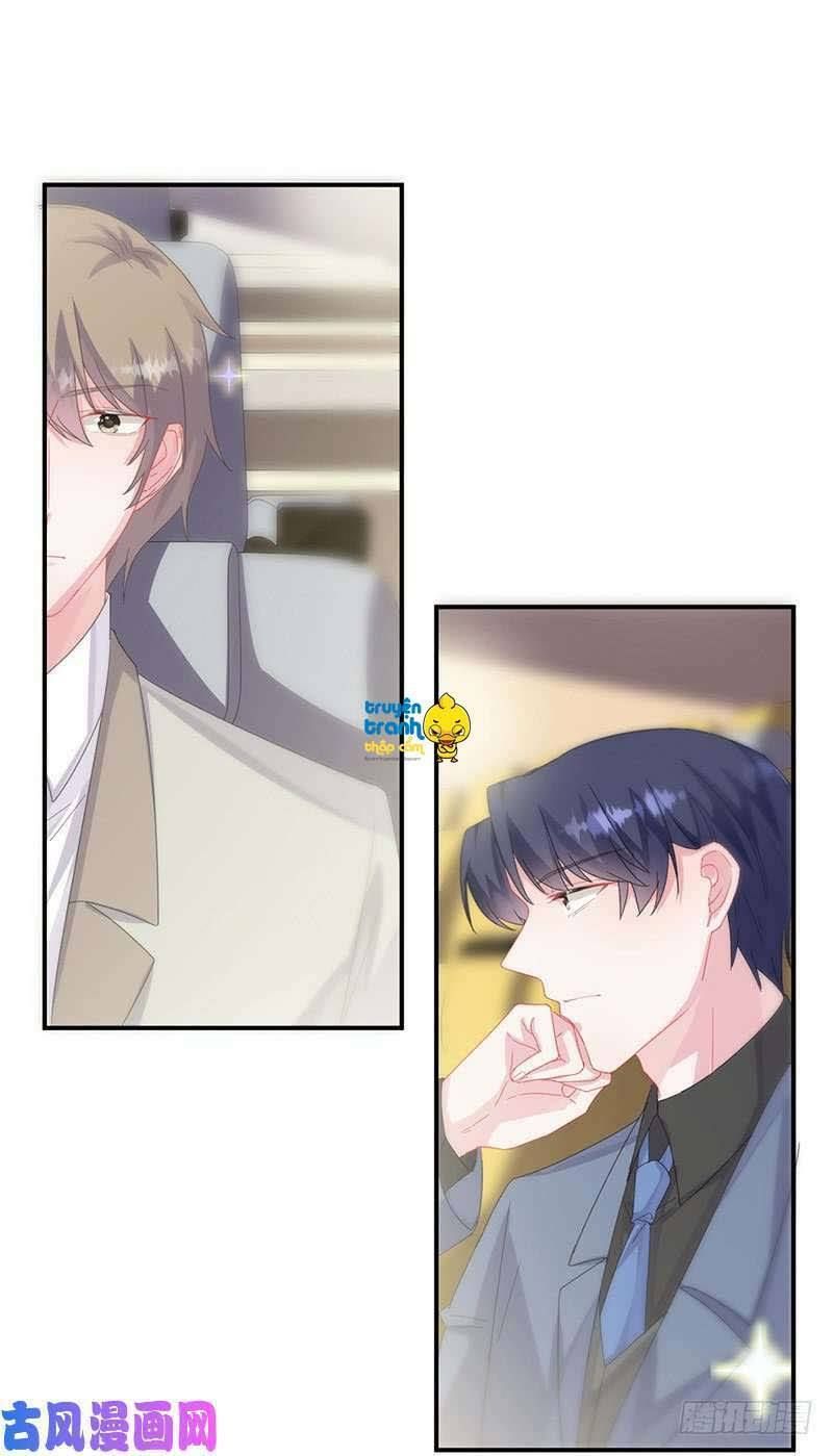 chọc tới chủ tịch tổng tài 2 chapter 135 12