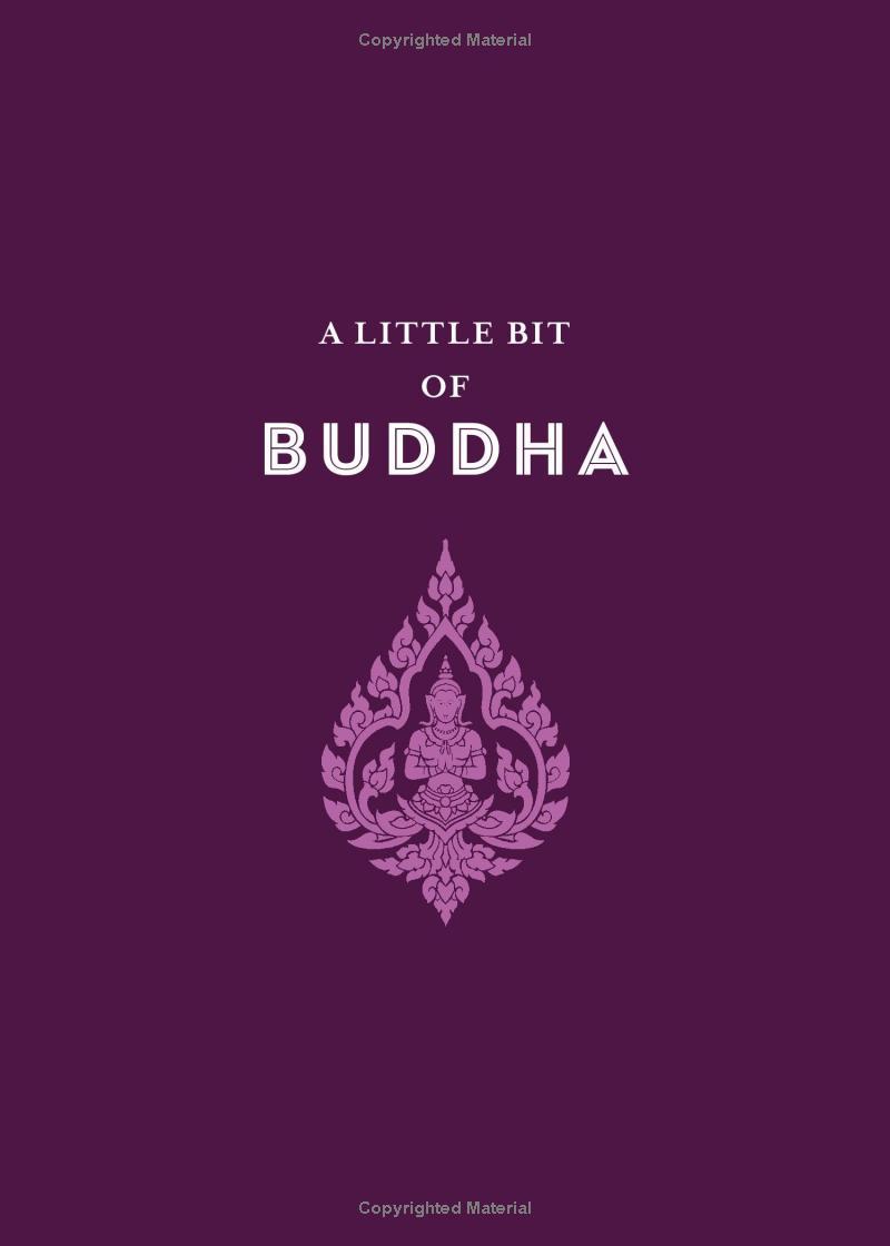 A Little Bit Of Buddha: An Introduction To Buddhist Thought