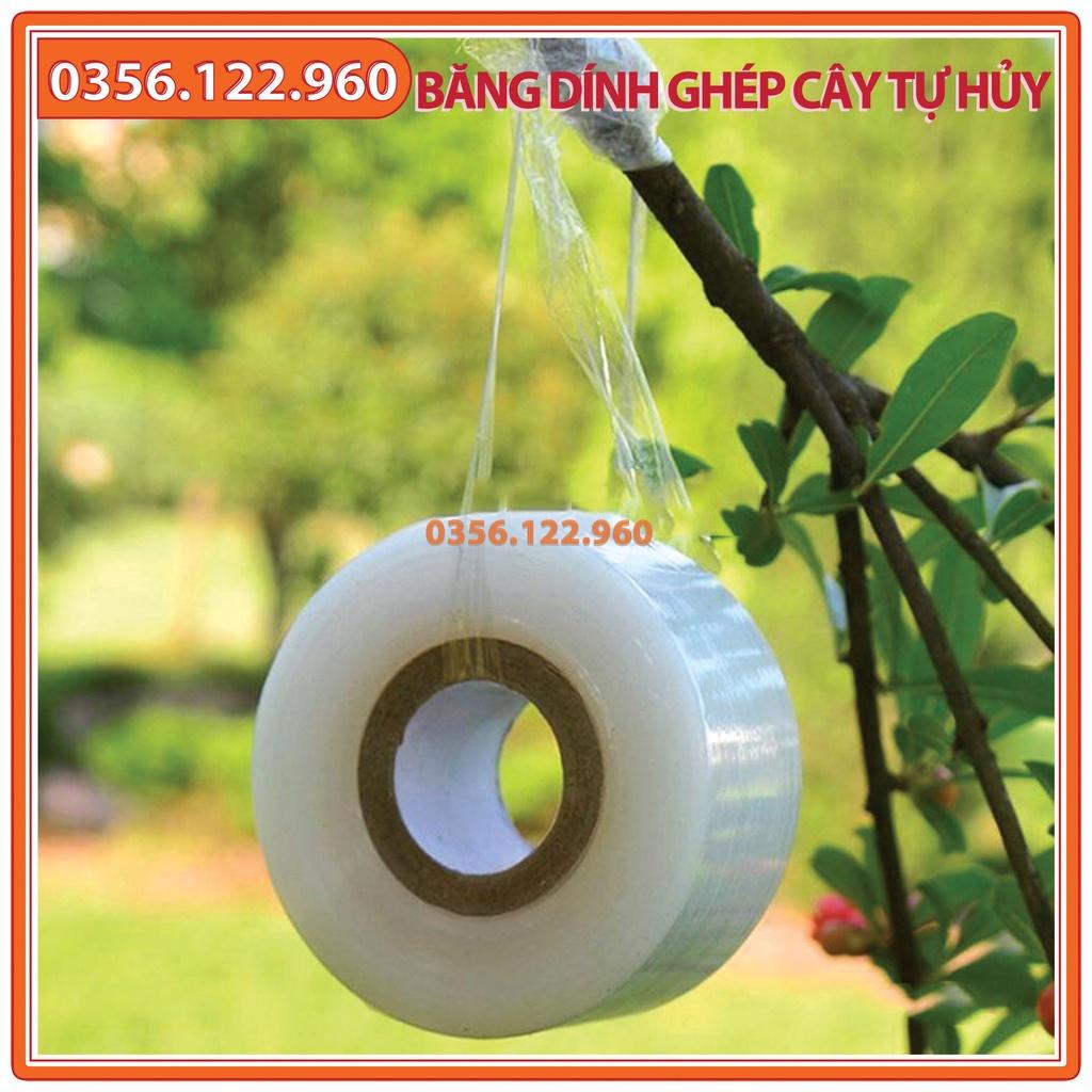 Băng dính ghép cây tự hủy - khổ 8 cm -Chuyên dùng trong ghép cành, tỉa cành, tạo dáng