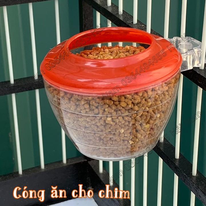 Cóng ăn uống cho chim chào mào , họa my, các loại chim cảnh khác