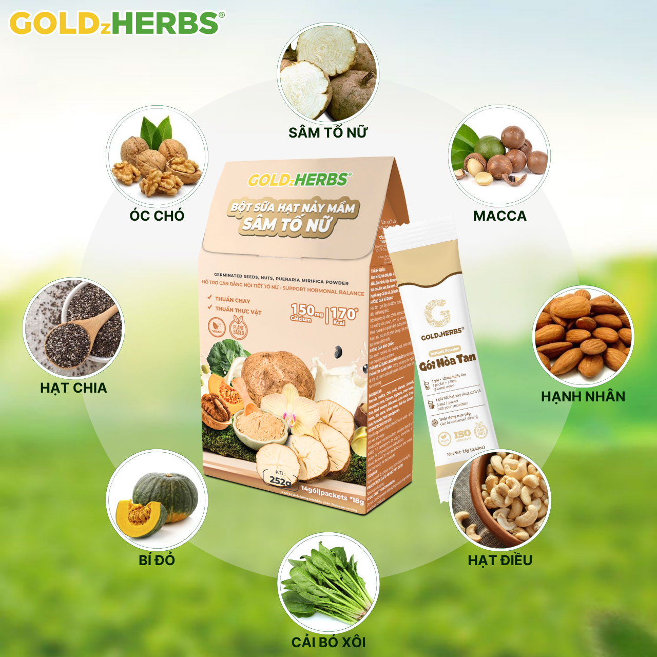 Hàng chính hãng - Bột sữa hạt nảy mầm sâm tố nữ GoldzHerbs - 14 gói/ 500g