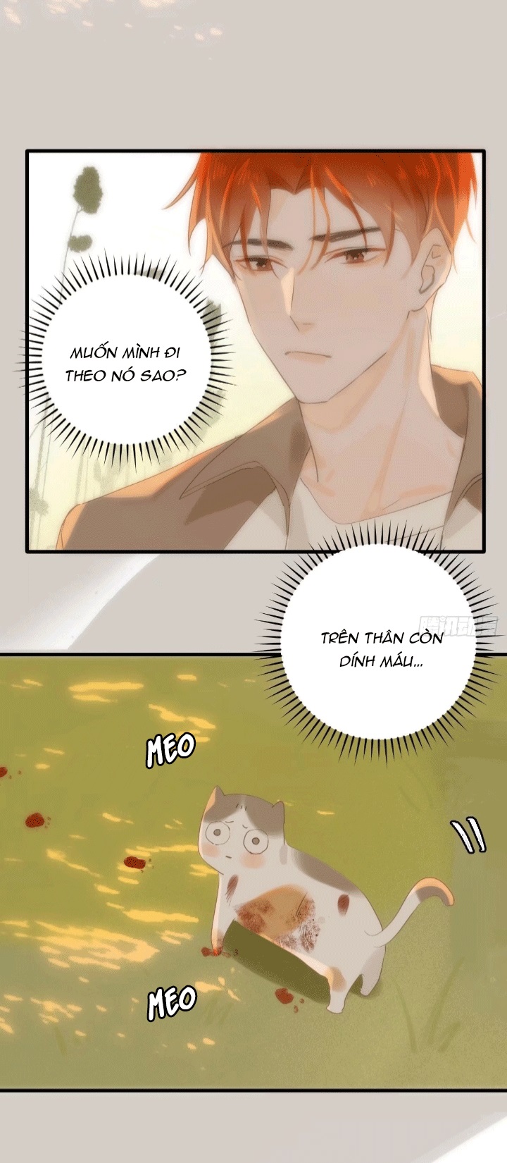 Đêm Đầy Sao Nói Với Em Chapter 17 - Trang 2