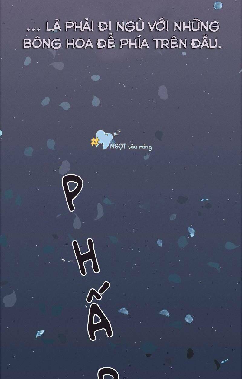 giấc mộng đêm hè chapter 1.3 43