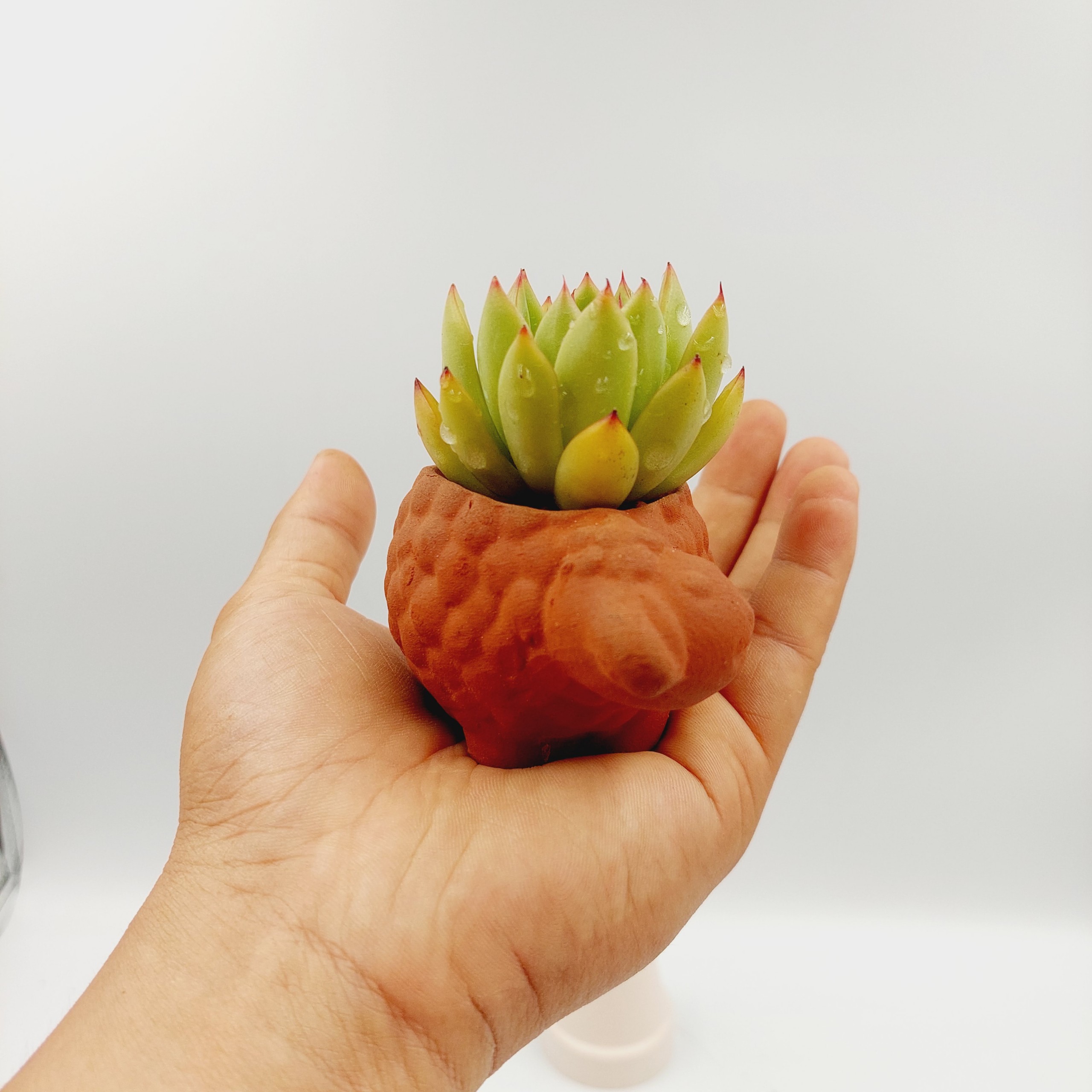 Chậu đất nung, chậu sen đá - Bé cừu, miệng chậu 5cm, chiều cao 5cm