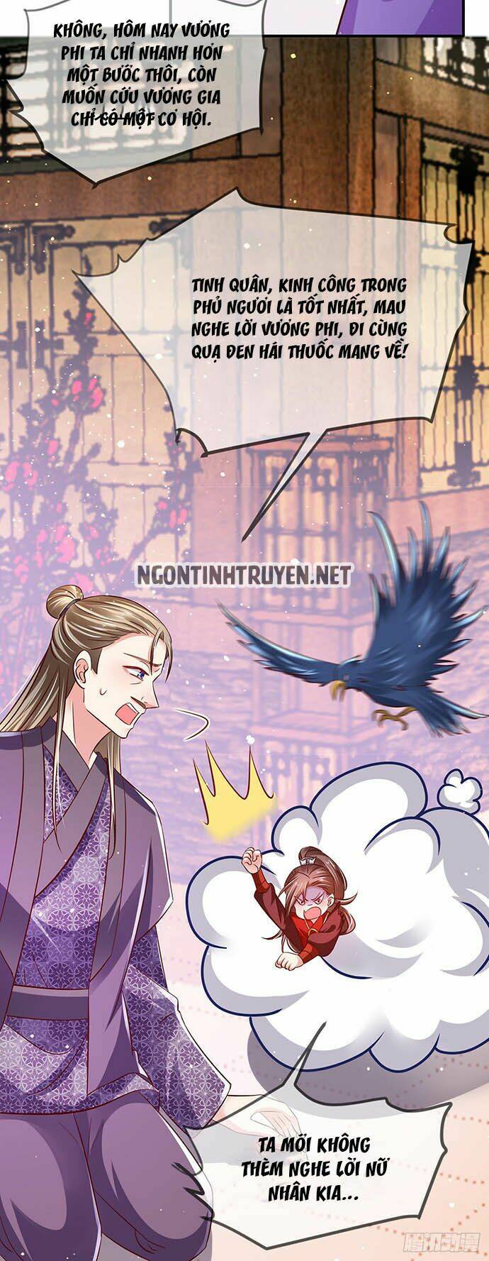 bệnh kiều phu quân ngạnh thượng cung chapter 11 13