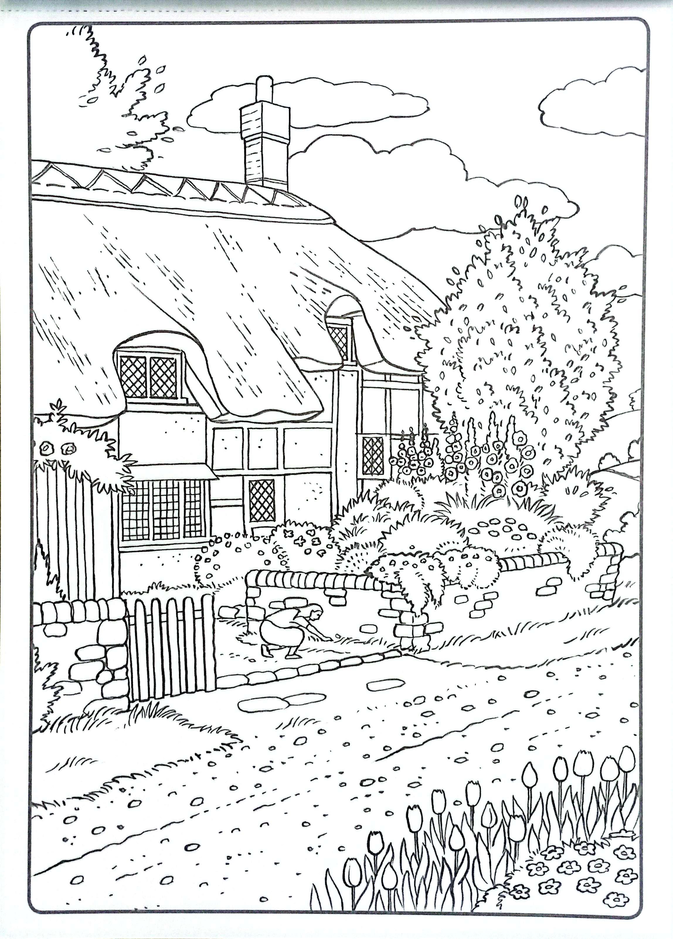 Sách ngoại văn: Colour Art - Countryside - Creative Colouring