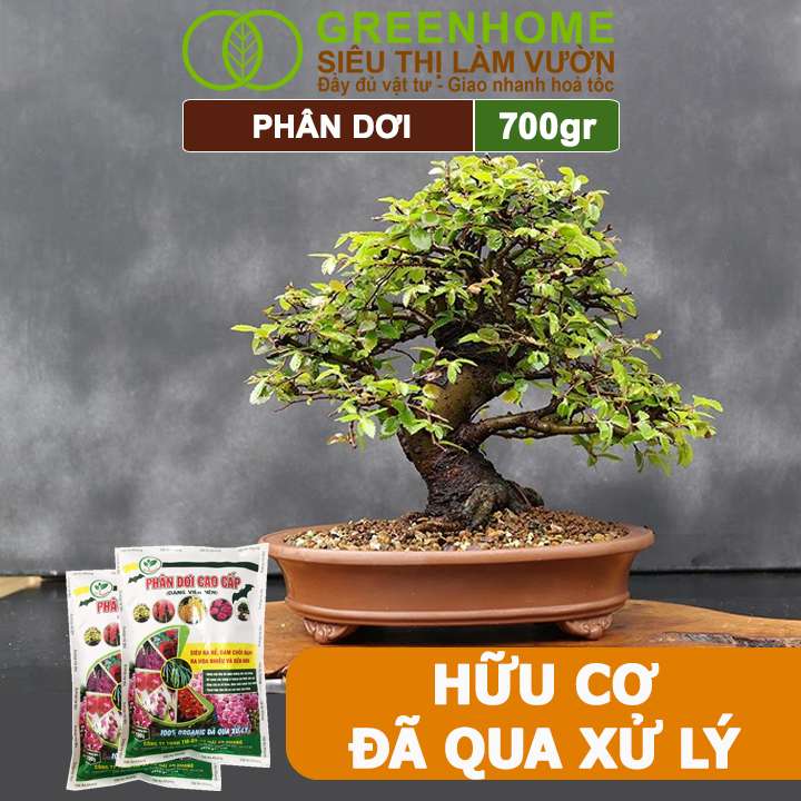 Phân Dơi Greenhome, Bao 700gr, Viên Nén, Đã Qua Xử Lý, Ra Rễ Mạnh, Hoa Nhiều, Tốt Cho Lan, Kiểng, Rau, Cây Ăn Trái