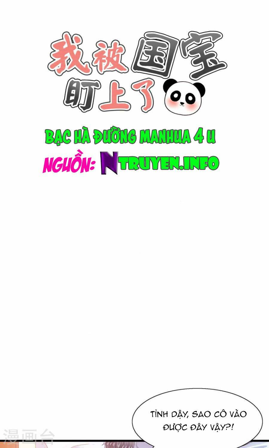 tôi bị gấu trúc nhìn trúng rồi chapter 6 1