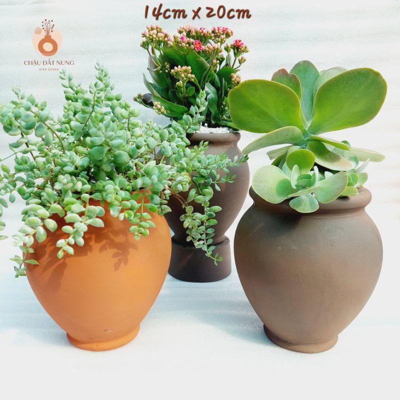 Chậu đất nung Bình Dương - Chum cao, miệng chậu 14cm, chiều cao 20cm