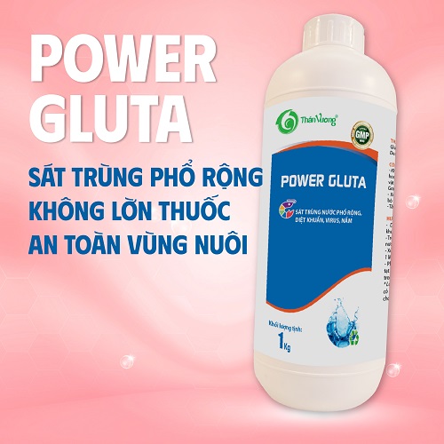 Sát trùng nước ao tôm phổ rộng POWER GLUTA