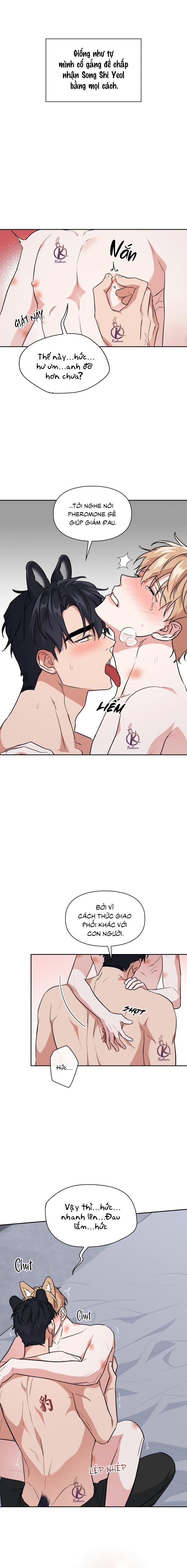 mồi nhử chapter 64 6