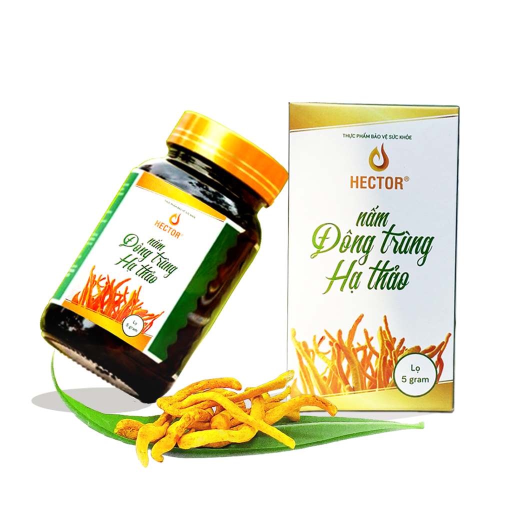 Đông trùng hạ thảo 1 hộp 5gram Sợi sấy thăng hoa