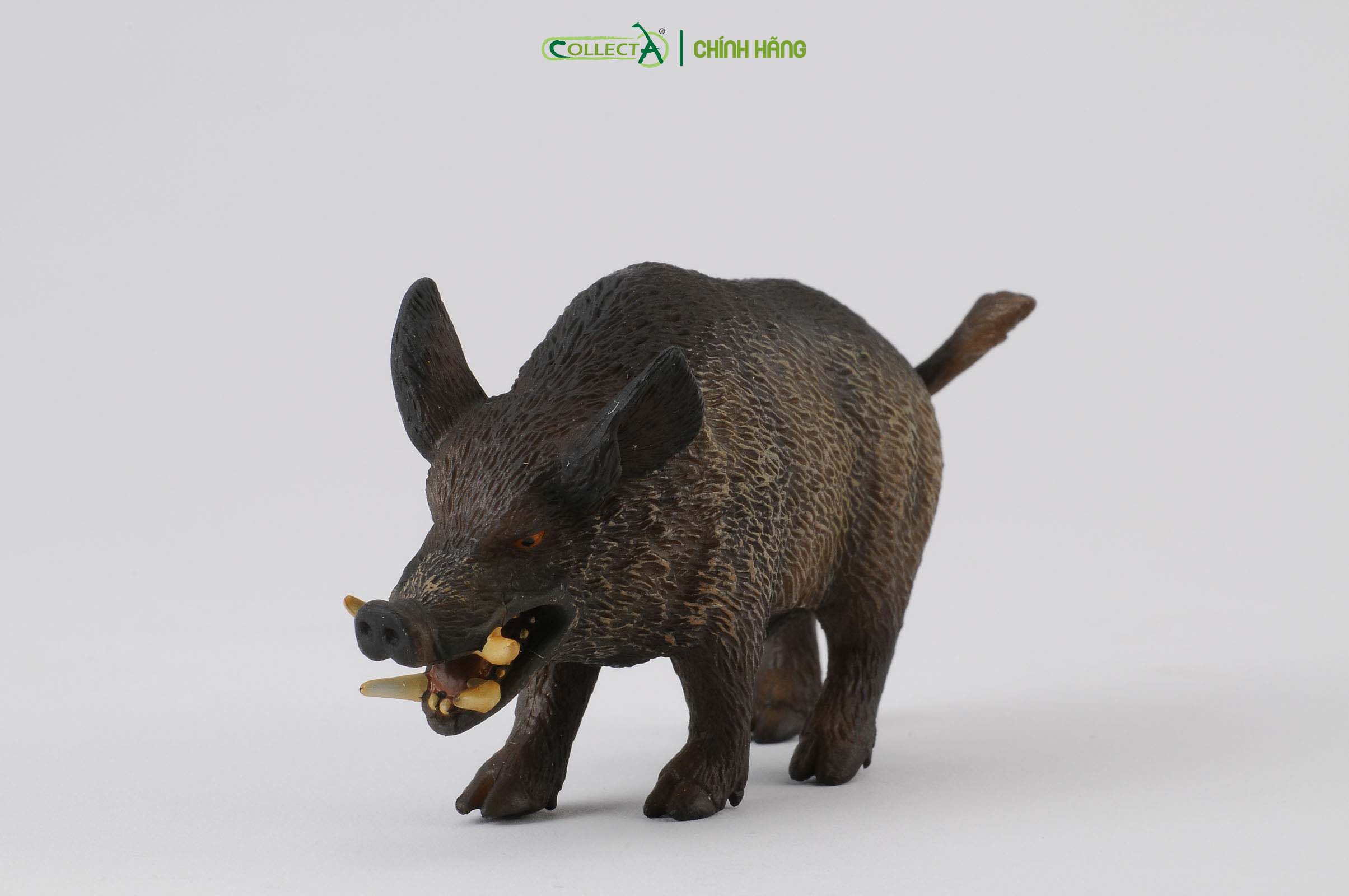 Mô hình thu nhỏ: Lợn Rừng - Wild Boar , hiệu: CollectA, mã HS 9651240[88363] -  Chất liệu an toàn cho trẻ - Hàng chính hãng